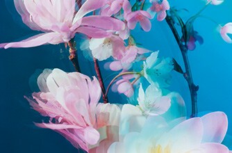 Luxury Colognes, Home, Body | Jo Malone London