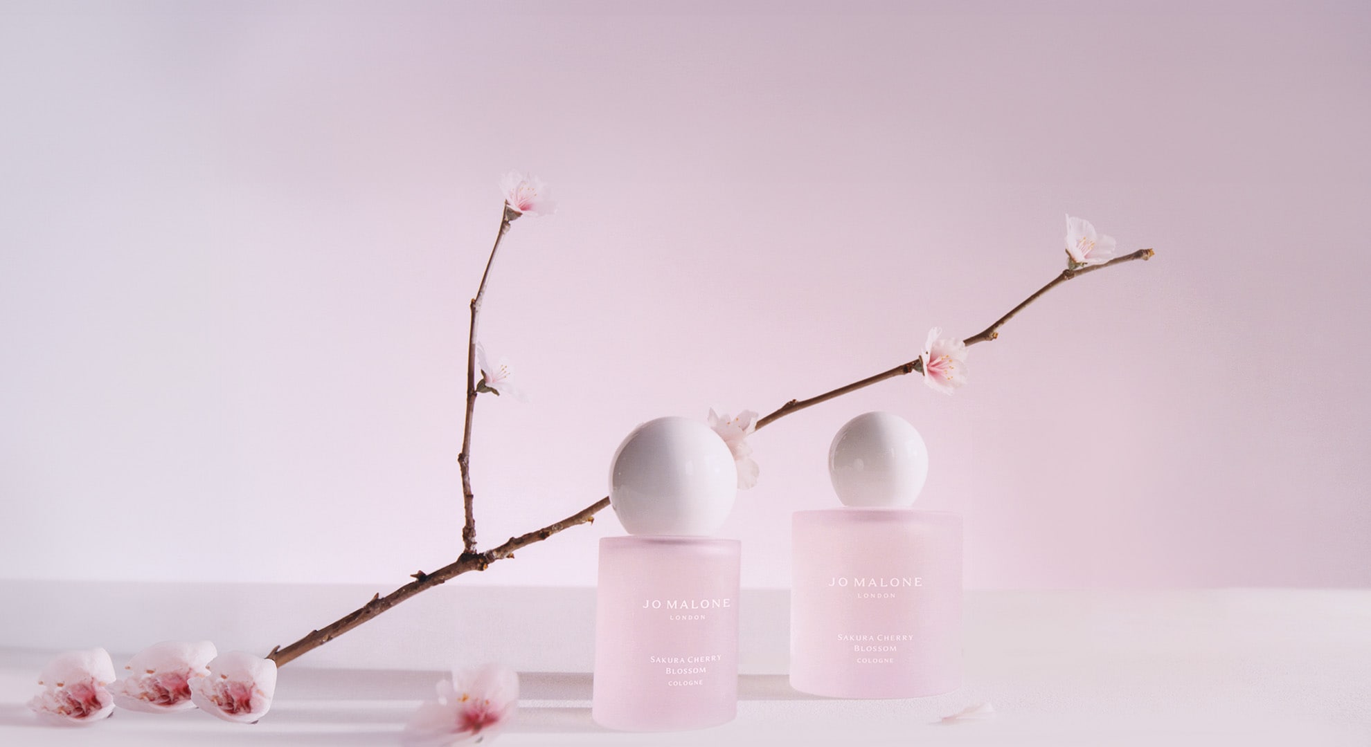 Sakura Cherry Blossoms Cologne. Shop Now!