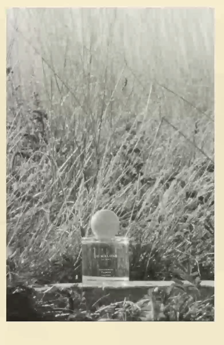 Frangipani Flower Cologne | Jo Malone London