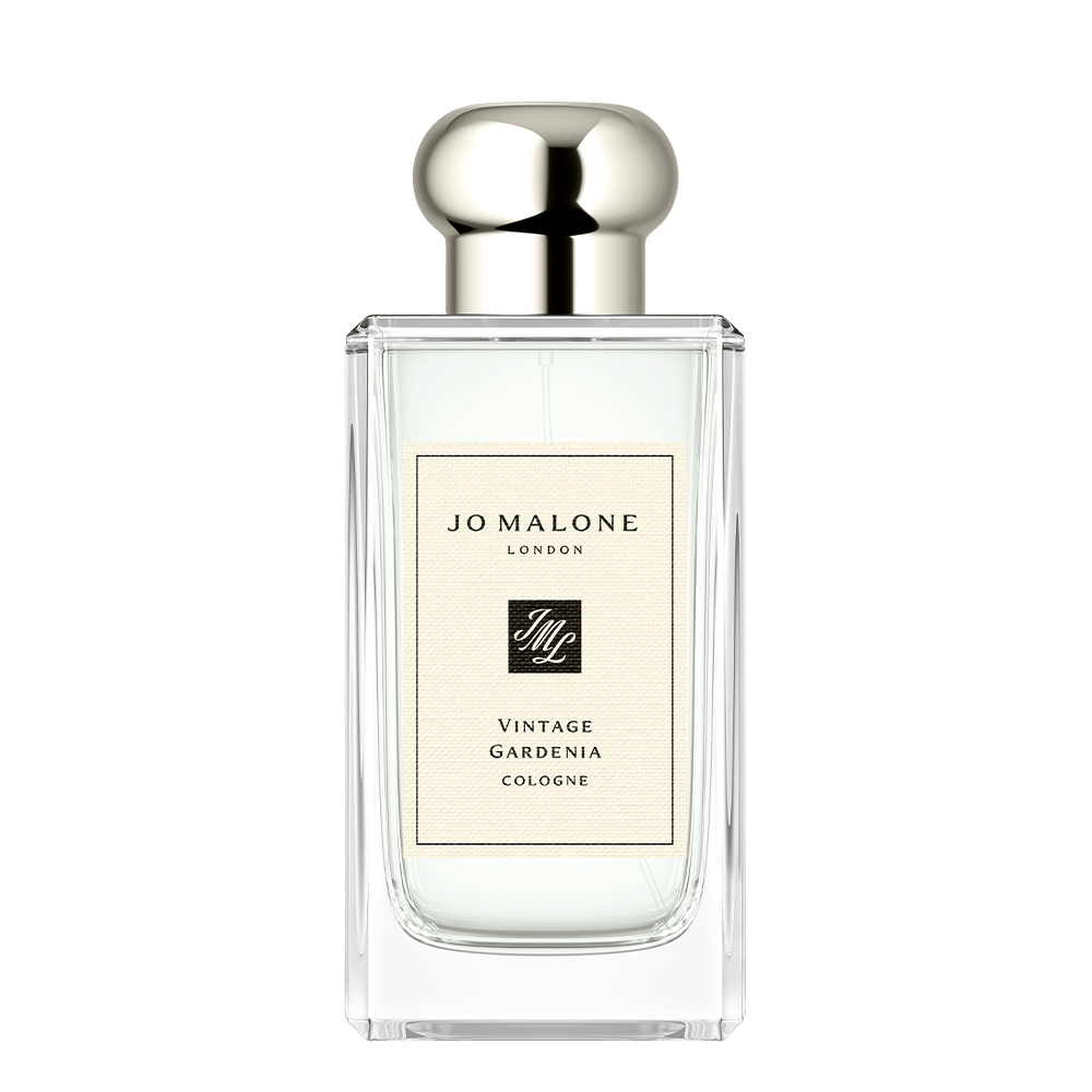 angel muse perfume review