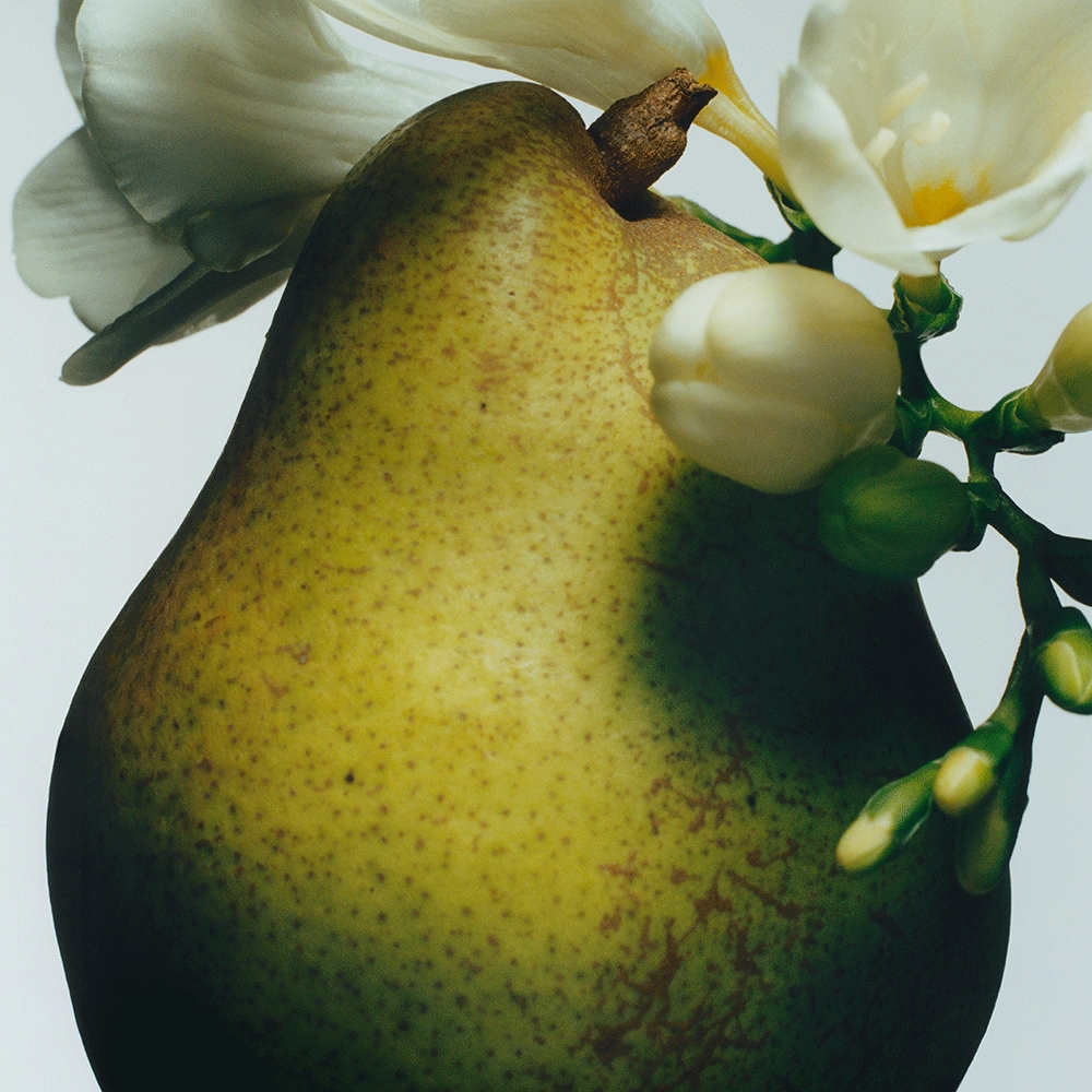 English Pear & Freesia Scent To Go | United States E-commerce Site - English