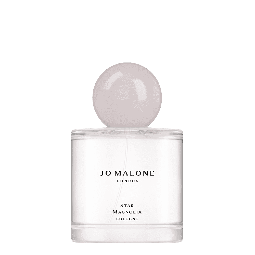 Star Magnolia Cologne