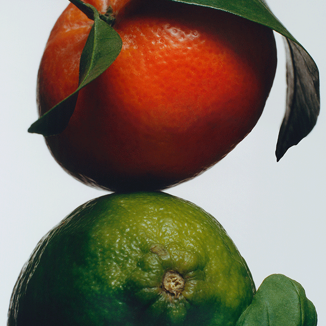 Lime Basil & Mandarin Body & Hand Lotion | United States E