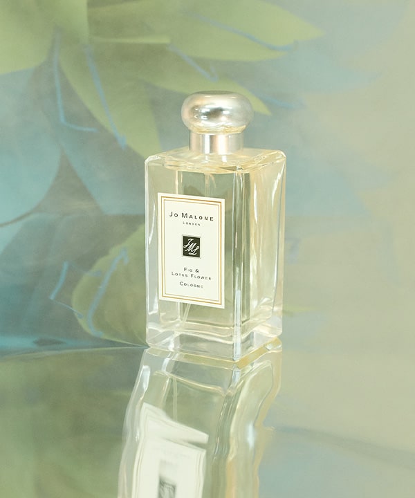 Fig lotus Flower Cologne Cypress Grapevine Cologne Intense