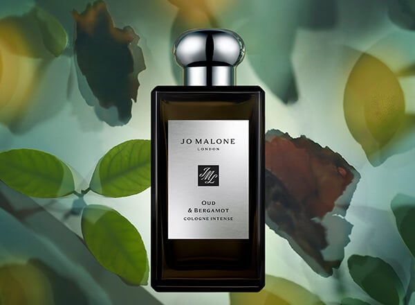 Oud & Bergamot Ingredient Notes | United States E-commerce