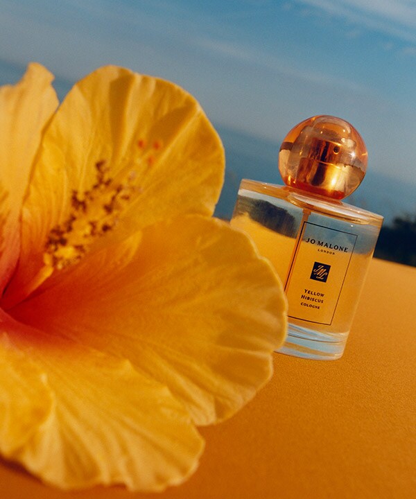 Introducing Yellow Hibiscus Cologne United States E commerce